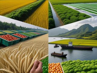 Import żywności dominuje globalnie — kto się wyłamuje?