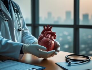 Śródbłonek pod presją – wpływ drobnych cząstek na naczynia krwionośne