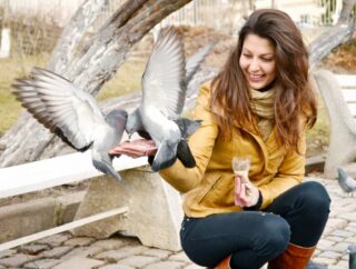 Zimowe wyprawy rodzinne do parku – dyskretna obserwacja dzikich zwierząt bez płoszenia