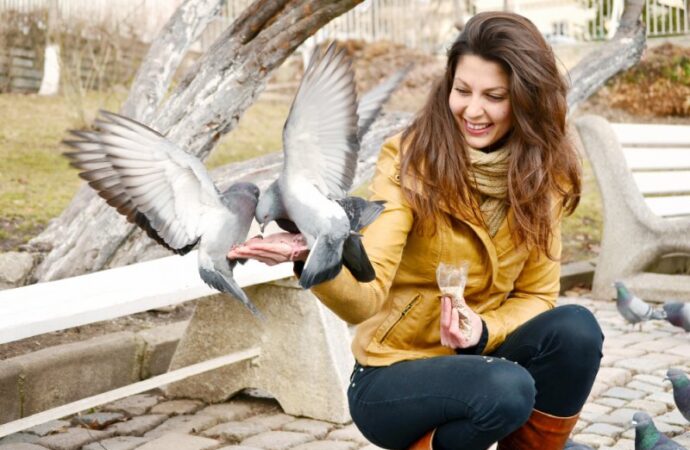 Zimowe wyprawy rodzinne do parku – dyskretna obserwacja dzikich zwierząt bez płoszenia